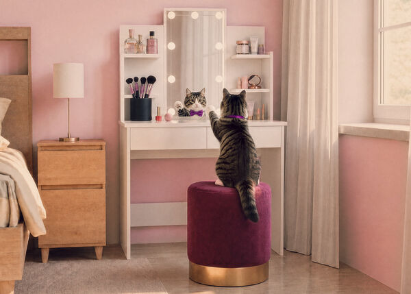 Chat assis &agrave; une coiffeuse avec &eacute;tag&egrave;res de rangement dans une chambre rose.