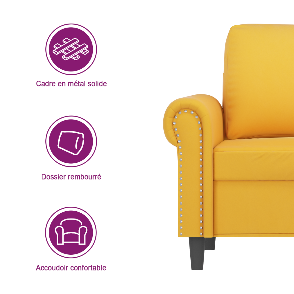 https://fr.vidaxl.ch/dw/image/v2/BFNS_PRD/on/demandware.static/-/Library-Sites-vidaXLSharedLibrary/fr/dwcb013922/TextImages/AGL-sofa-velvet-yellow-FR.png