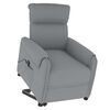 vidaXL Fauteuil Gris clair Tissu