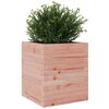 vidaXL Jardini&egrave;re 40x40x46 cm bois massif de douglas