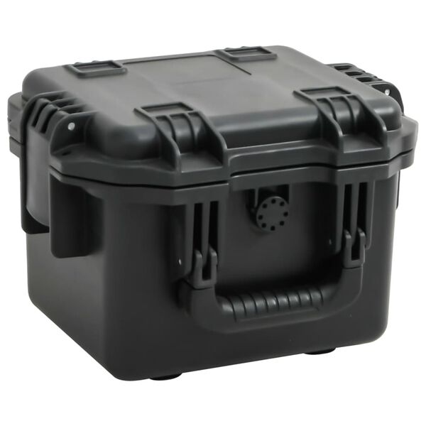 vidaXL Valise de vol portable Noir 30x24,5x20 cm PP