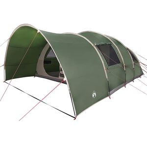 vidaXL Tente Tunnel 8-Personnes 8 personne Vert