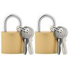 vidaXL U Lock avec Cl&eacute;s 2 pcs Laiton Fer