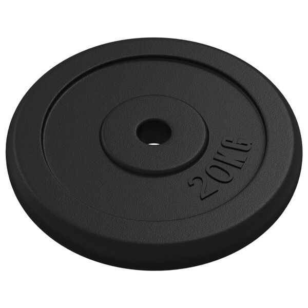 vidaXL Plaque de poids 20 kg Fonte