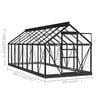 vidaXL Serre en verre Anthracite 155x395,5x191 cm Aluminium