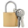 vidaXL U Lock avec Cl&eacute;s 100 pc Laiton Fer