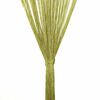 vidaXL Rideau en fils 2 pcs 140 x 250 cm Vert