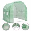 vidaXL Serre 4 m&sup2; 2x2x2 m