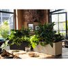 LECHUZA Jardini&egrave;re BALCONERA Stone 50 ALL-IN-ONE Noir