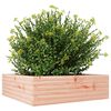 vidaXL Jardini&egrave;re 80x80x23 cm bois massif de douglas