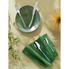 Amefa Ensemble de couverts 24 pcs Eclat Vert clair