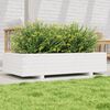 vidaXL Jardini&egrave;re blanc 110x60x26,5 cm bois de pin massif