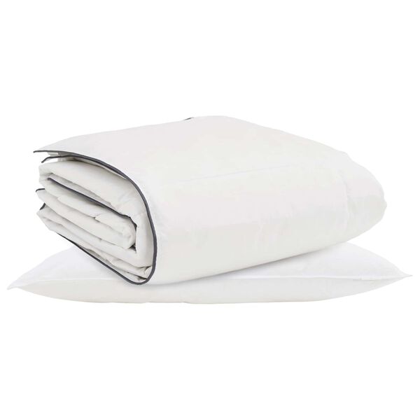 vidaXL Duvet d'hiver avec oreiller 2 pcs Blanc Plume de canard