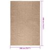 vidaXL Tapis ZIZUR 200x290 cm aspect de jute int&eacute;rieur et ext&eacute;rieur