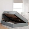 vidaXL Lit avec rangement et LED Gris clair 120 x 200 cm Polyester