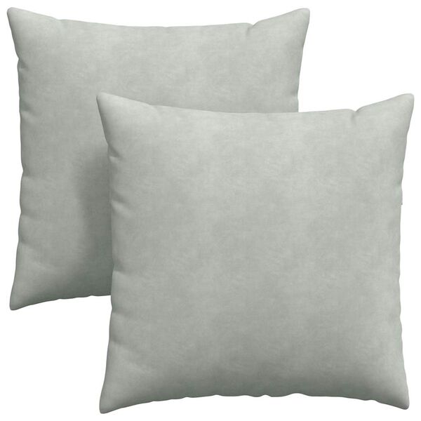 vidaXL Coussins de canap&eacute; 2 pcs Gris clair 80 x 80 cm