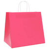 vidaXL Sacs en papier 250 pcs avec poign&eacute;es rose 32x22x28 cm
