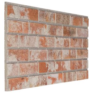 vidaXL Panneaux muraux 10 pc 100 x 50 cm Orange Mousse EPS