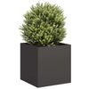 vidaXL Jardini&egrave;re noir 40x40x40 cm acier lamin&eacute; &agrave; froid