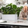 LECHUZA Jardini&egrave;re BALCONERA Stone 50 ALL-IN-ONE Blanc quartz