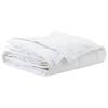vidaXL Couette 200 x 200 cm Printemps, Automne Plume Blanc Respirant