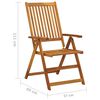 vidaXL Chaises inclinables de jardin lot de 2 et coussins Bois acacia