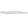 vidaXL Auvent r&eacute;tractable automatique bordeaux 600x300 cm