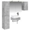 vidaXL Ensemble de mobilier de salle de bain 5 pc Gris b&eacute;ton