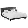 vidaXL Duvet d'hiver avec oreiller 3 pcs Blanc Plume de canard