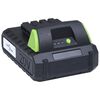 vidaXL Bloc-piles 20V 1500 mAh Li-ion