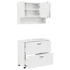 vidaXL Ensemble de mobilier de salle de bain 2 pcs Blanc brillant