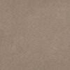vidaXL Coussins d&eacute;coratifs lot de 2 Taupe 40x40 cm Tissu microfibre
