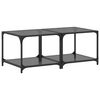 vidaXL Tables basses avec dessus en verre noir 2 pcs 50x50x40 cm acier