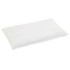 vidaXL Duvet d'hiver avec oreiller 2 pcs Blanc Plume de canard