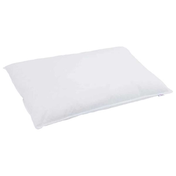 vidaXL Oreiller avec oreiller Blanc 40 x 80 cm Plume