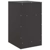 vidaXL Tables de chevet 2 pcs noir 34,5x39x62 cm acier