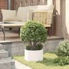 vidaXL Cache-pot de jardin 5 pcs Blanc 30 x 30 x 20 cm