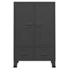vidaXL Garde-robe industrielle Anthracite 67x35x107 cm Acier