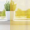 vidaXL Rideaux en voile avec passe-tringles 2 pcs jaune