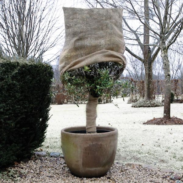 Nature Housse de jute d'hiver 230 g/m&sup2; Naturel 0,75x1 m