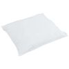 vidaXL Oreiller avec oreiller 2 pcs Blanc 40 x 40 cm Plume