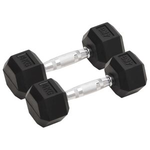vidaXL Halt&egrave;res 2 pcs 4 kg Total Fonte