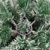 vidaXL Sapin de No&euml;l Artificiel &agrave; Branches Articul&eacute;es 240 cm