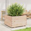 vidaXL Jardini&egrave;re 80x80x49,5 cm bois de pin massif