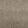vidaXL Tapis d'entr&eacute;e Autre Beige et Noir 120 x 250 cm