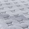 vidaXL Matelas &agrave; ressorts ensach&eacute;s moyen 100x200 cm