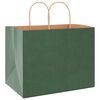 vidaXL Sacs en papier 50 pcs avec poign&eacute;es vert 32x22x24 cm