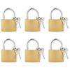 vidaXL U Lock avec Cl&eacute;s 6 pcs Laiton Fer