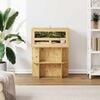 vidaXL Terrarium Marron 60 x 30 x 30 cm OSB