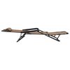 vidaXL Chaises longues pliables 2 pcs avec repose-pied Acier Marron